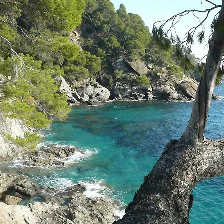 San Domenico